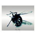 Stinger 8 posters