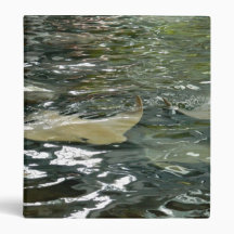 Stingray 3 Ring Binder