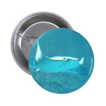 Stingray  Button