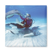 Stingray City, Grand Cayman, Cayman Islands, Fridge Magnet