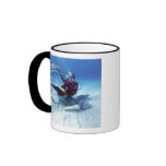 Stingray City, Grand Cayman, Cayman Islands, mugs