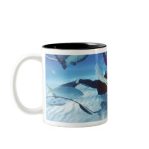 Stingray City, Grand Cayman, Cayman Islands, Coffee Mug