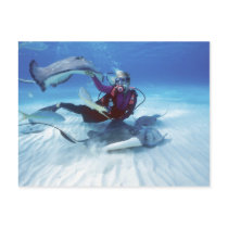 Stingray City, Grand Cayman, Cayman Islands, Post Cards