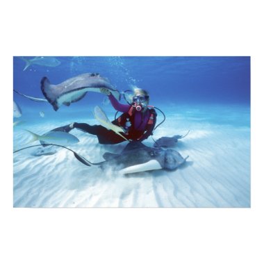 Stingray City, Grand Cayman, Cayman Islands, zazzle_print