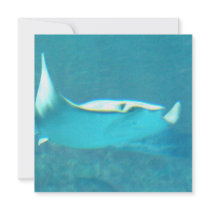 Stingray Invitations