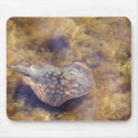Stingray Mousepad by farmer77 Stingray Mousepad