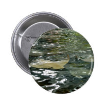 Stingray Pinback Buttons