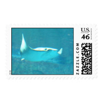 Stingray Postage Stamp