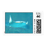 Stingray Postage Stamp