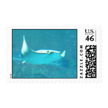 Stingray Postage Stamp