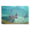 Stingray posters