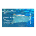 Stingray Swimming Business Cards