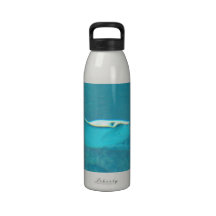 Stingray Water Bottle