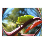 Stink bug 216 ~ ATC Business Cards