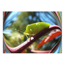 Stink bug 216 ~ ATC business cards by Andy2302 Stink bug 216 ~ ATC business cards