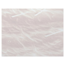 Stink bug - forehead personalized letterhead