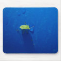 Stink bug mousepads by EMangl Stink bug mousepads
