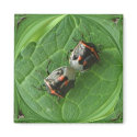 Stink Bugs 2 ~ mag magnets by Andy2302 Stink Bugs 2 ~ mag magnets