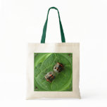 Stink Bugs ~ bag