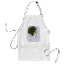 Stink Eye Apron