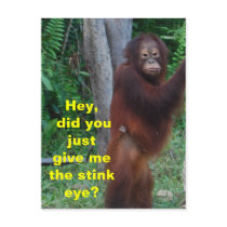 Stink Eye postcard