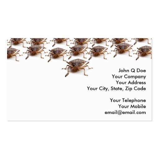 Stink or Shield bug for pest exterminator Business Card Templates (front side)