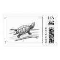Stinkpot Turtle   postage