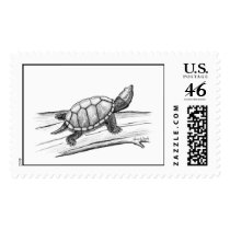 Stinkpot Turtle postage by moxieann Stinkpot Turtle postage