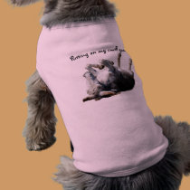 Stinky Donkey pet clothing
