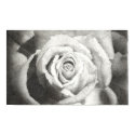 Stippled Rose Poster posters