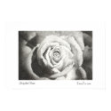 Stippled Rose Poster White Border posters
