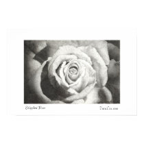 Stippled Rose Poster White Border posters