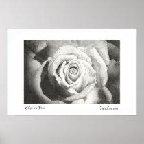 Stippled Rose Poster White Border