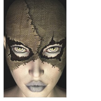 Stitched Mask Female Face Stretched Canvas Print wrappedcanvas