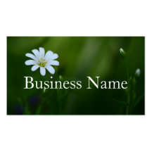 Stitchwort  Business Card