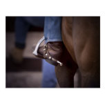 Stockhorse and Spurs Post Card