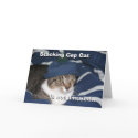 Stocking cap cat is not amused cards by sr4001 Stocking cap cat is not amused cards