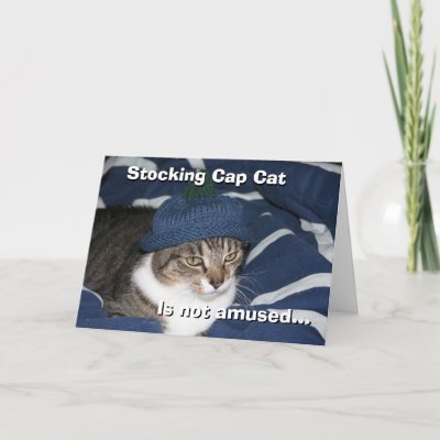 http://rlv.zcache.com/stocking_cap_cat_is_not_amused_card-p137421779841039293zv2h8_400.jpg