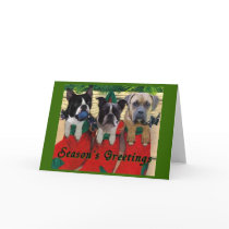 Stocking Pups cards by wigglebutthut Stocking Pups cards
