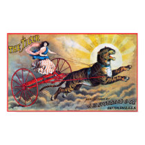 Stoddard Tiger Posters
