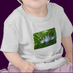 Stokesia, Stokes Aster t-shirts