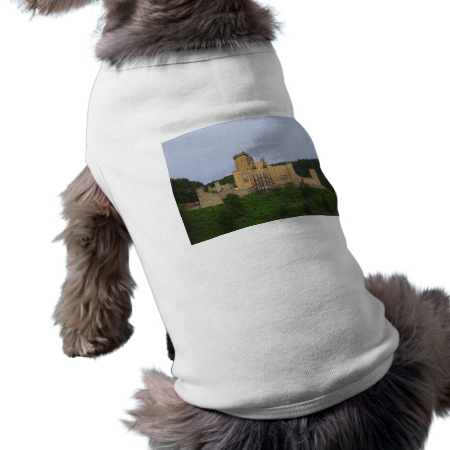 Stolzenfels Castle Dog Clothes