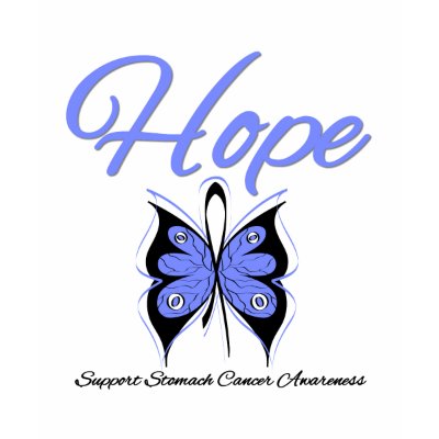 Stomach Cancer Hope Butterfly Ribbon T-shirt by cancerapparel