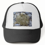 Stone Alien hats