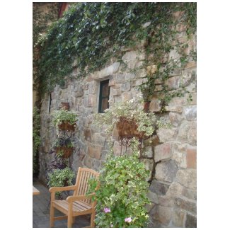 Stone and Ivy with Garden Bench card