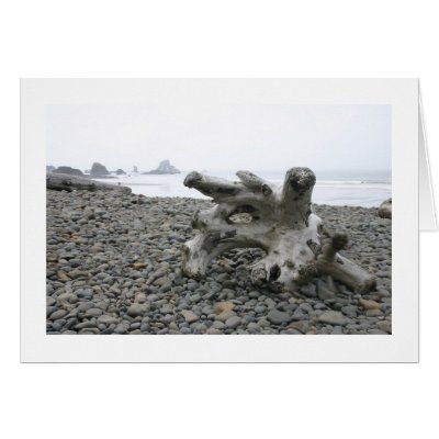 Stone Beach Greeting Cards by alberthartley