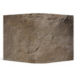 Stone Binder