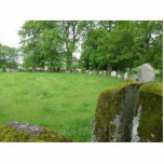 Stone Circles Grange Ireland Trees Moss Rocks Photo Cut Out