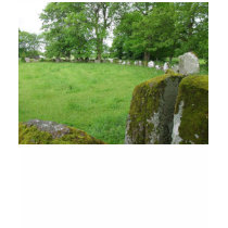 Stone Circles Grange Ireland Trees Moss Rocks t-shirts