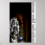 Stone Cold Salvation poster